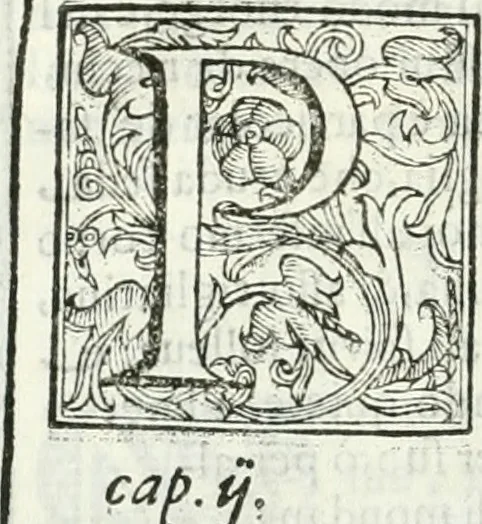 An illustration from Dell'elixir vitæ, 1624, leaf 153