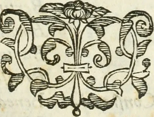 An illustration from Dell'elixir vitæ, 1624, leaf 188