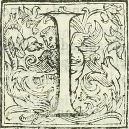 An illustration from Dell'elixir vitæ, 1624, leaf 192