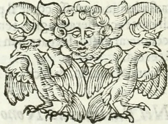 An illustration from Dell'elixir vitæ, 1624, leaf 203