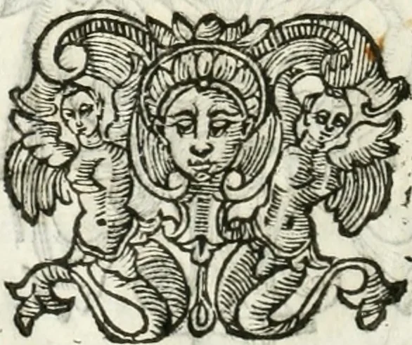 An illustration from Dell'elixir vitæ, 1624, leaf 205