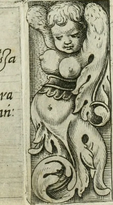 An illustration from Dell'elixir vitæ, 1624, leaf 208