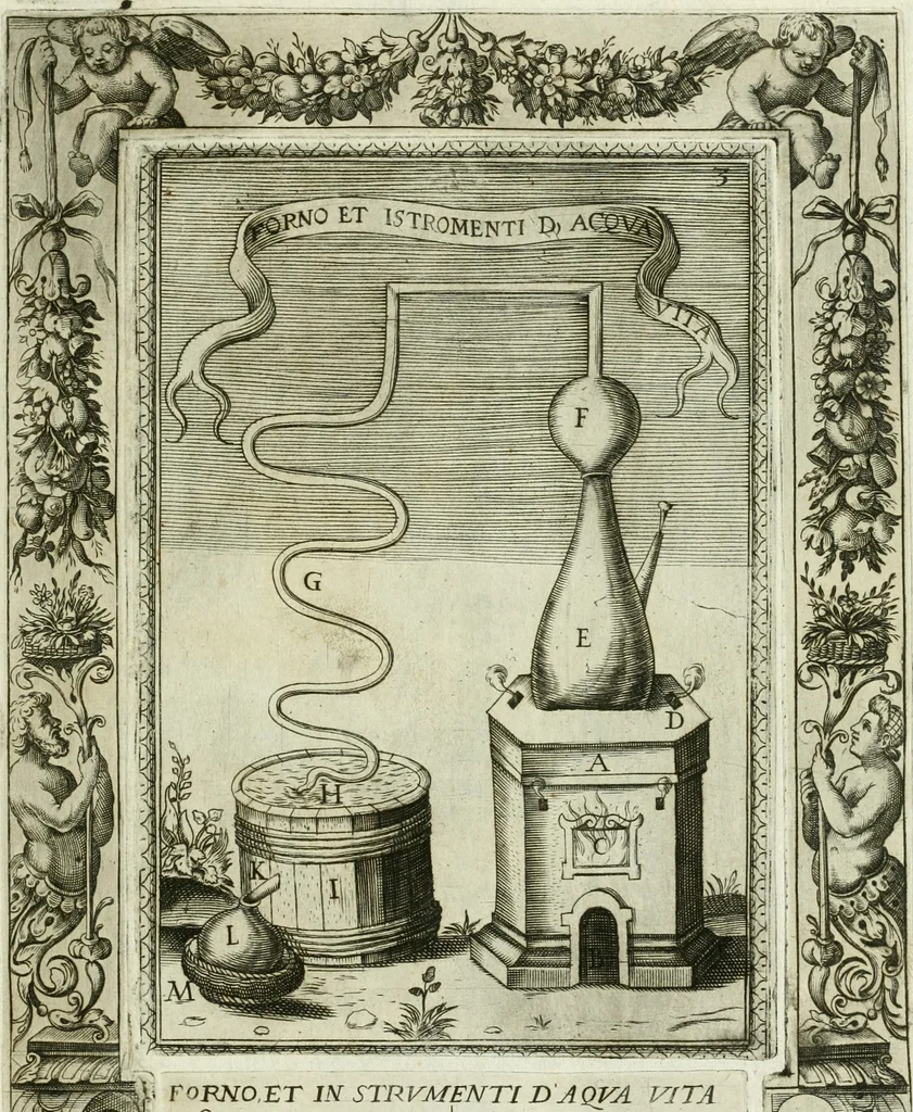 An illustration from Dell'elixir vitæ, 1624, leaf 210