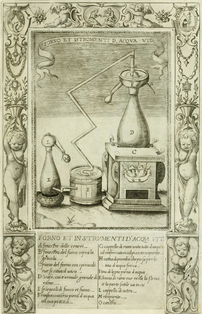 An illustration from Dell'elixir vitæ, 1624, leaf 214