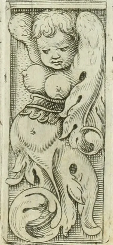 An illustration from Dell'elixir vitæ, 1624, leaf 214