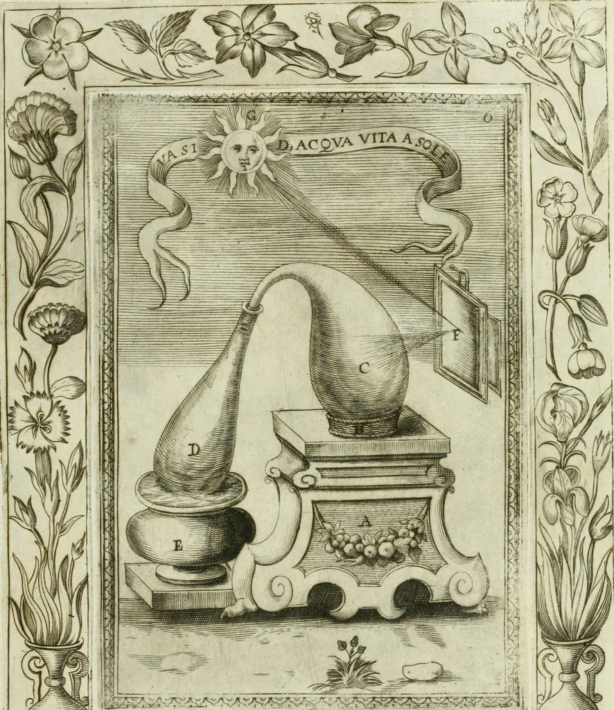 An illustration from Dell'elixir vitæ, 1624, leaf 216
