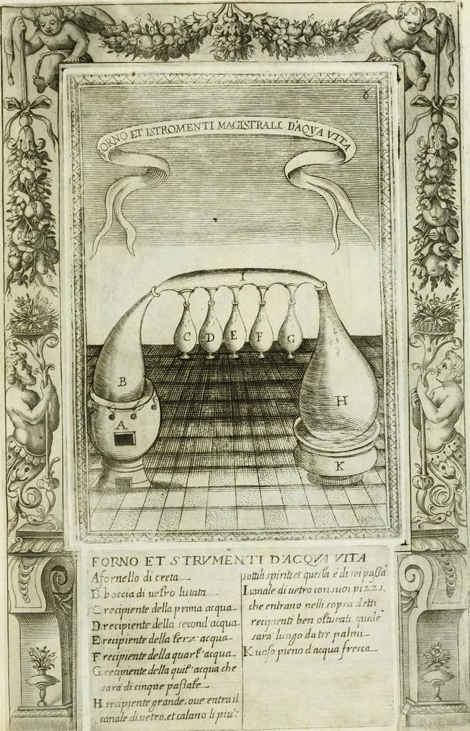 An illustration from Dell'elixir vitæ, 1624, leaf 220