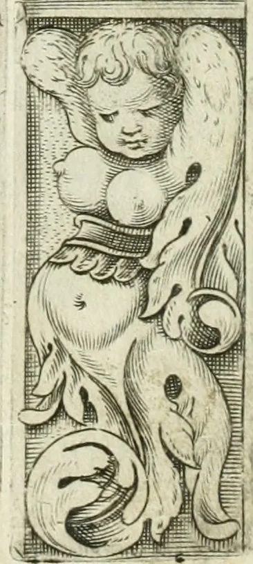 An illustration from Dell'elixir vitæ, 1624, leaf 222