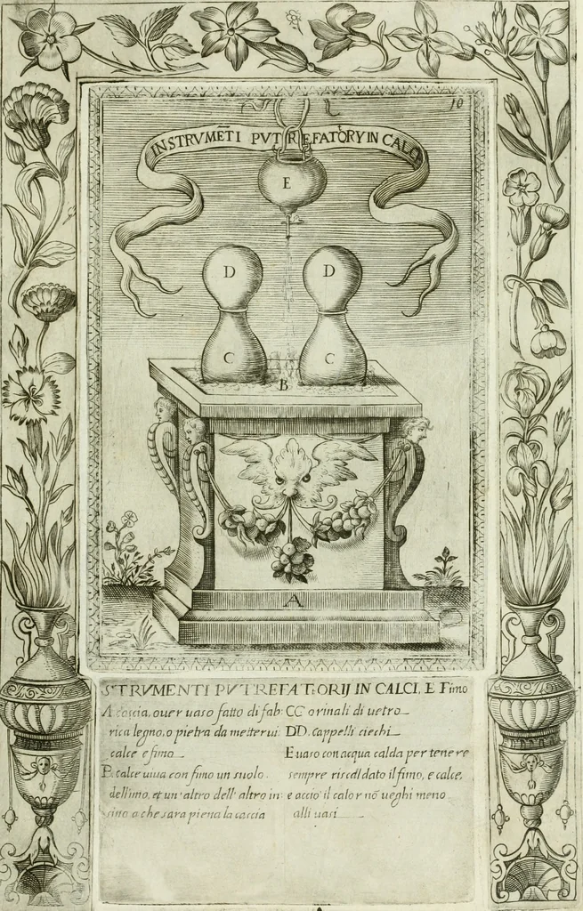 An illustration from Dell'elixir vitæ, 1624, leaf 224