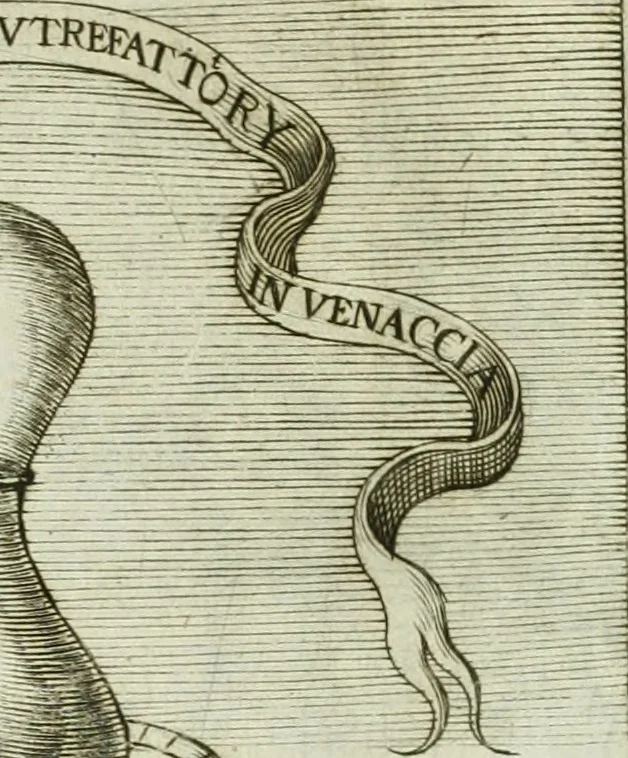 An illustration from Dell'elixir vitæ, 1624, leaf 226