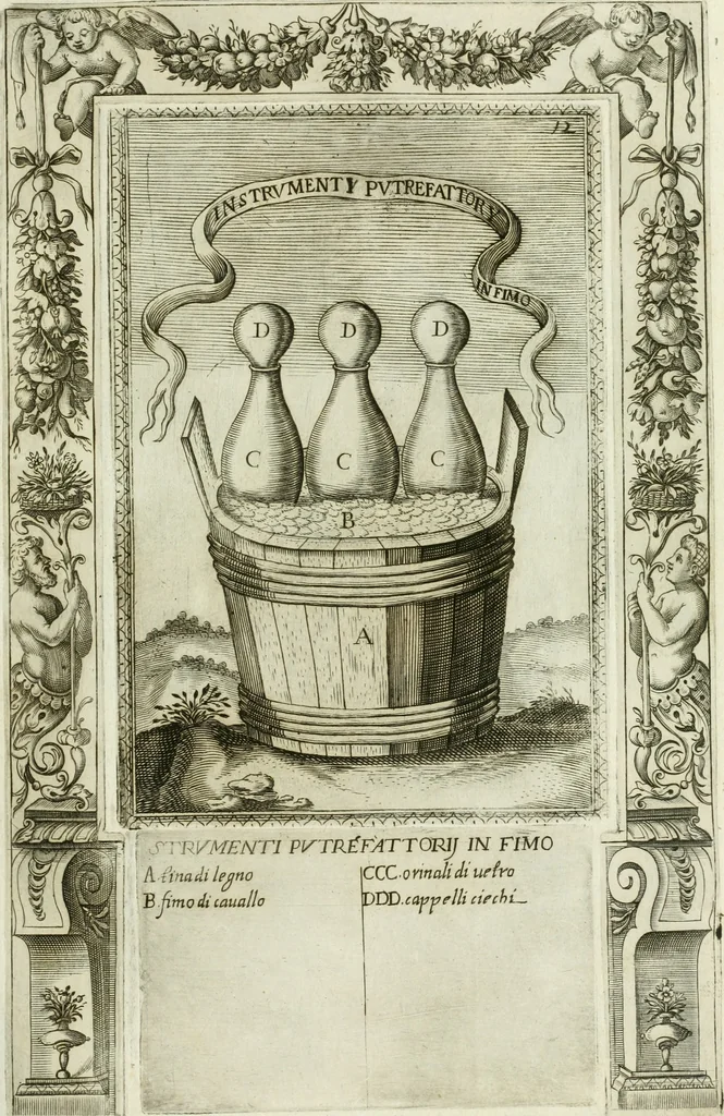An illustration from Dell'elixir vitæ, 1624, leaf 228