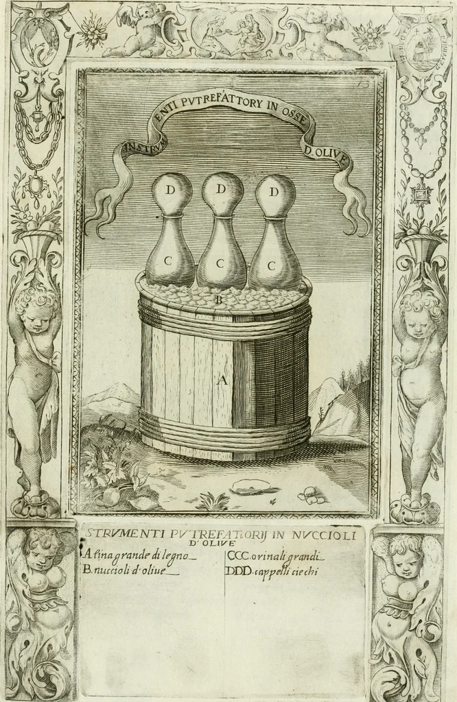 An illustration from Dell'elixir vitæ, 1624, leaf 230