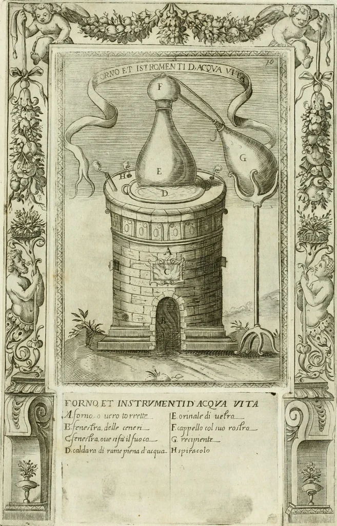 An illustration from Dell'elixir vitæ, 1624, leaf 236