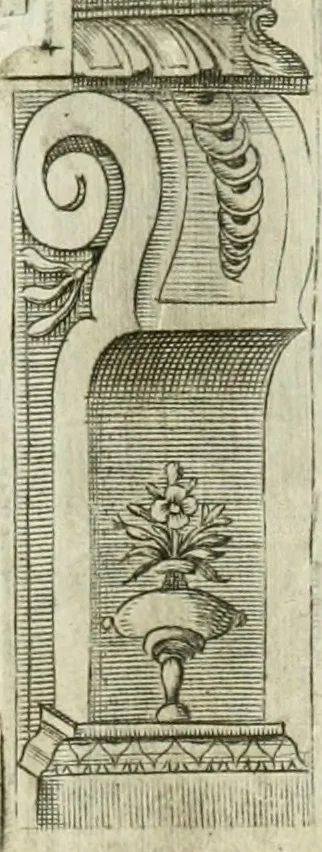 An illustration from Dell'elixir vitæ, 1624, leaf 236