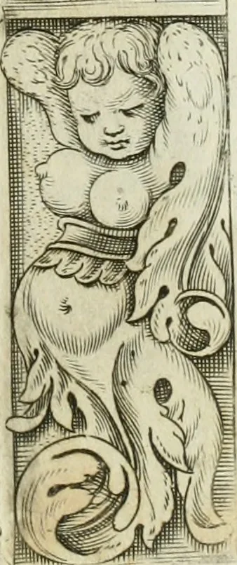 An illustration from Dell'elixir vitæ, 1624, leaf 238