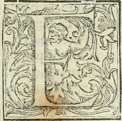An illustration from Dell'elixir vitæ, 1624, leaf 24