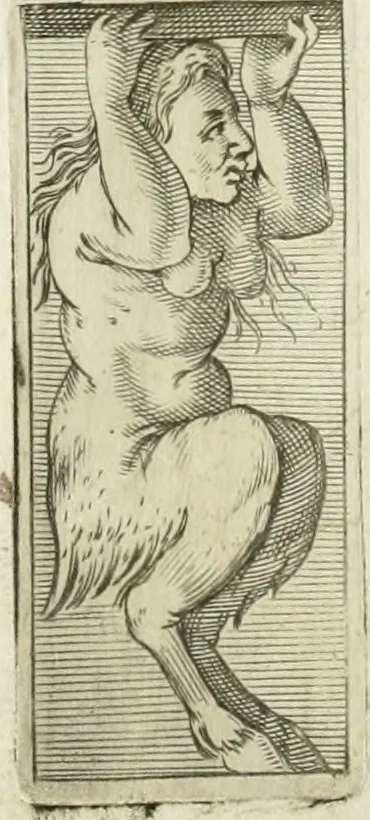 An illustration from Dell'elixir vitæ, 1624, leaf 242