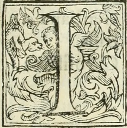An illustration from Dell'elixir vitæ, 1624, leaf 50