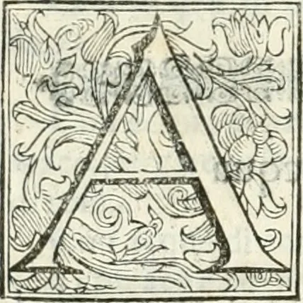 An illustration from Dell'elixir vitæ, 1624, leaf 59