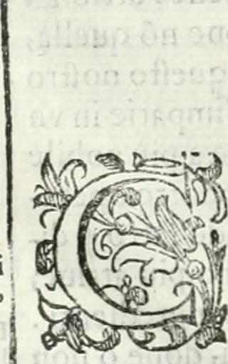 An illustration from Dell'elixir vitæ, 1624, leaf 65