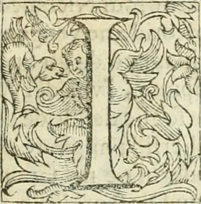 An illustration from Dell'elixir vitæ, 1624, leaf 68