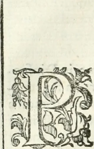 An illustration from Dell'elixir vitæ, 1624, leaf 73