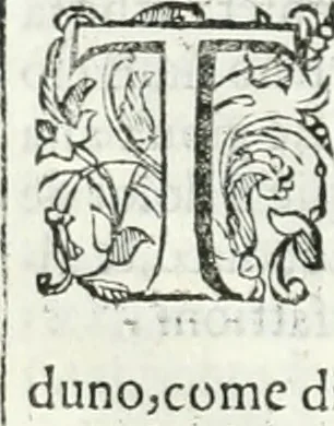 An illustration from Dell'elixir vitæ, 1624, leaf 85