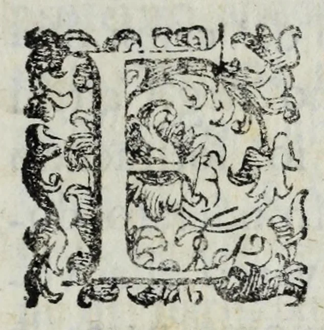 An illustration from Delle lodi d'Anna Maria Maurizia d'Austria, regina di Francia : orazione funerale dell' abate Luigi Strozzi, gentiluomo per gli affari di S.M. Cristianissima alla corte di Toscana : recitata nelle pubbliche essequie al serenissimo Ferdinando II, gran duca di Toscana, 1666, leaf 11