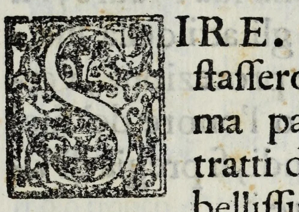 An illustration from Delle lodi d'Anna Maria Maurizia d'Austria, regina di Francia : orazione funerale dell' abate Luigi Strozzi, gentiluomo per gli affari di S.M. Cristianissima alla corte di Toscana : recitata nelle pubbliche essequie al serenissimo Ferdinando II, gran duca di Toscana, 1666, leaf 9