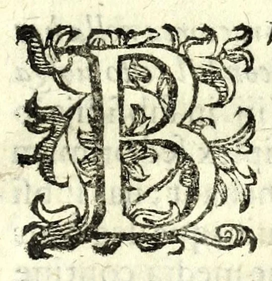 An illustration from Delle machine, ordinanze, et qvartieri antichi, et moderni : come quelli da questi possino essere imitati senza punto alterate la soldatesca dei nostri tempi : discorsi, 1601, leaf 107