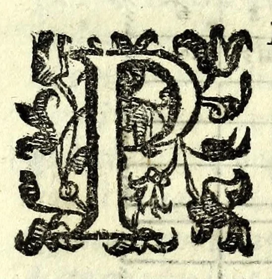 An illustration from Delle machine, ordinanze, et qvartieri antichi, et moderni : come quelli da questi possino essere imitati senza punto alterate la soldatesca dei nostri tempi : discorsi, 1601, leaf 161