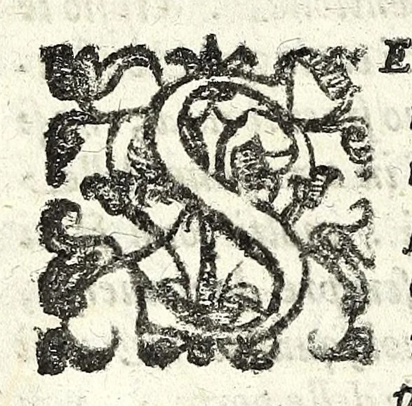 An illustration from Delle machine, ordinanze, et qvartieri antichi, et moderni : come quelli da questi possino essere imitati senza punto alterate la soldatesca dei nostri tempi : discorsi, 1601, leaf 204