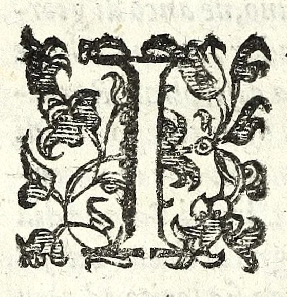 An illustration from Delle machine, ordinanze, et qvartieri antichi, et moderni : come quelli da questi possino essere imitati senza punto alterate la soldatesca dei nostri tempi : discorsi, 1601, leaf 206