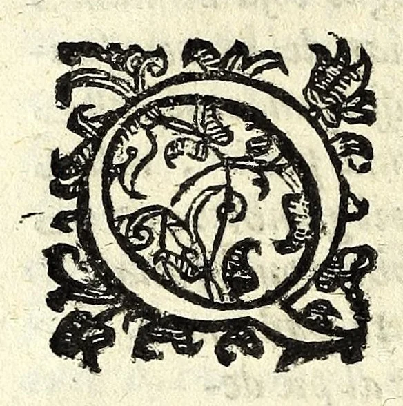 An illustration from Delle machine, ordinanze, et qvartieri antichi, et moderni : come quelli da questi possino essere imitati senza punto alterate la soldatesca dei nostri tempi : discorsi, 1601, leaf 38