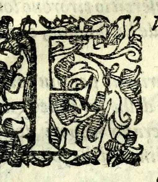 An illustration from Delle machine, ordinanze, et qvartieri antichi, et moderni : come quelli da questi possino essere imitati senza punto alterate la soldatesca dei nostri tempi : discorsi, 1601, leaf 39