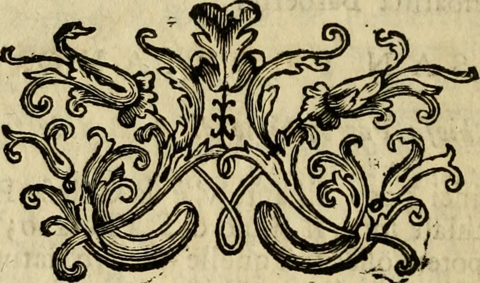 An illustration from Descrizione delle pitture, sculture, ed architetture che si osservano nella città di Mantova e ne' suoi contorni : data in luce a comodo singolarmente de' forestieri, 1763, leaf 135