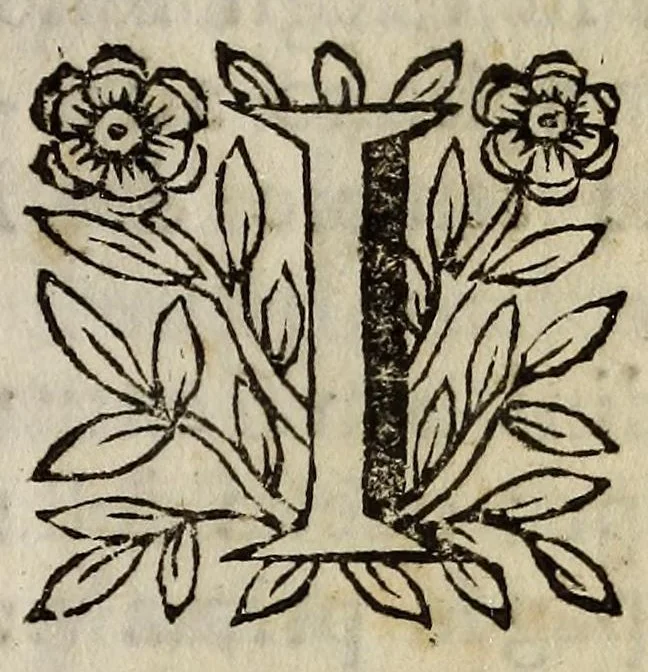 An illustration from Delle poesie di Nicolo Marcvcci .., 1667, leaf 9