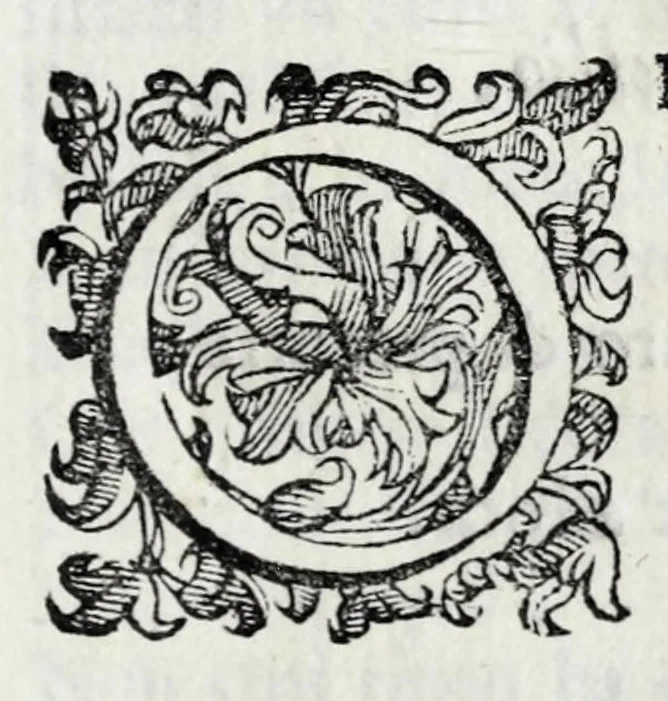 An illustration from Delle poesie dramatiche di Giovann' Andrea Moniglia, accademico della Crusca, parte prima[-terza], 1689, leaf 395