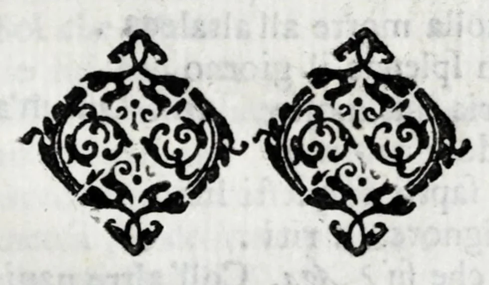 An illustration from Delle poesie dramatiche di Giovann' Andrea Moniglia, accademico della Crusca, parte prima[-terza], 1689, leaf 555