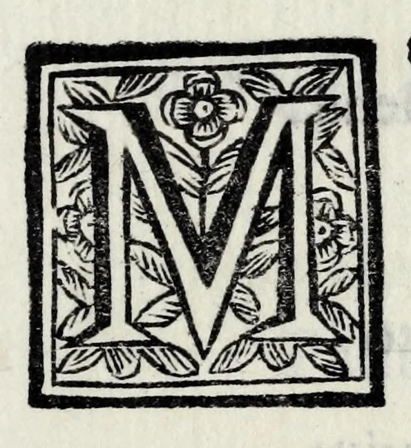 An illustration from Delle poesie dramatiche di Giovann' Andrea Moniglia, accademico della Crusca, parte prima[-terza], 1689, leaf 281