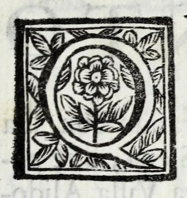 An illustration from Delle poesie dramatiche di Giovann' Andrea Moniglia, accademico della Crusca, parte prima[-terza], 1689, leaf 317