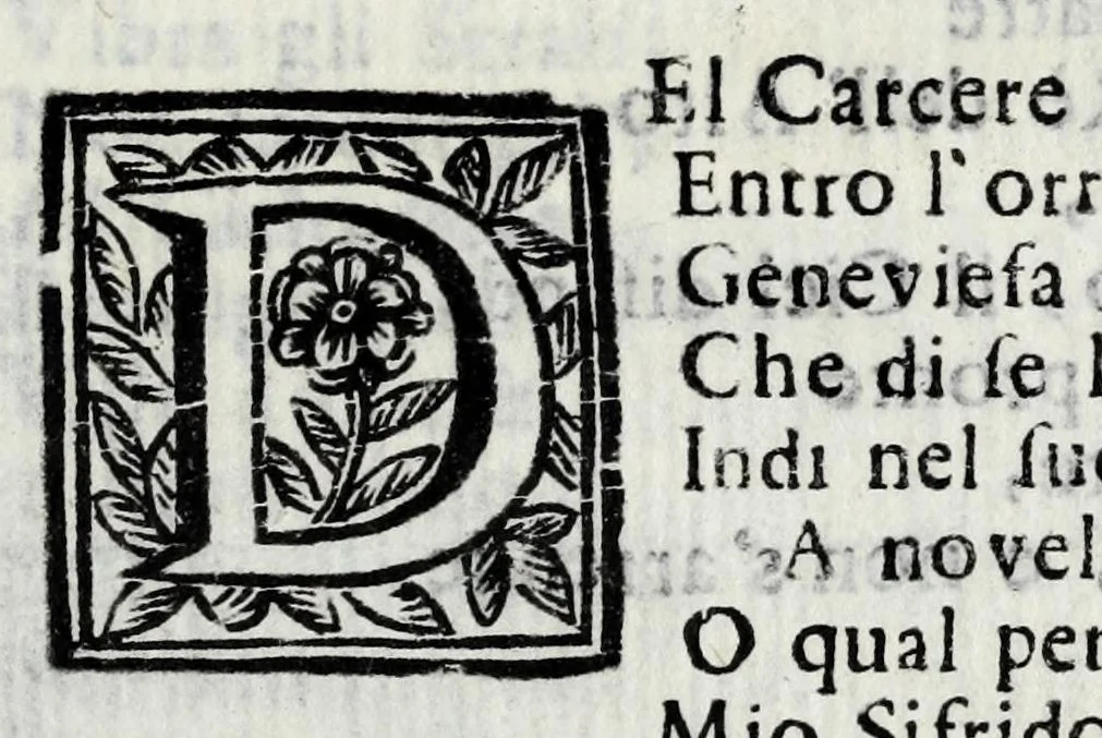 An illustration from Delle poesie dramatiche di Giovann' Andrea Moniglia, accademico della Crusca, parte prima[-terza], 1689, leaf 361