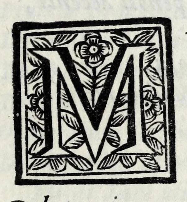 An illustration from Delle poesie dramatiche di Giovann' Andrea Moniglia, accademico della Crusca, parte prima[-terza], 1689, leaf 389