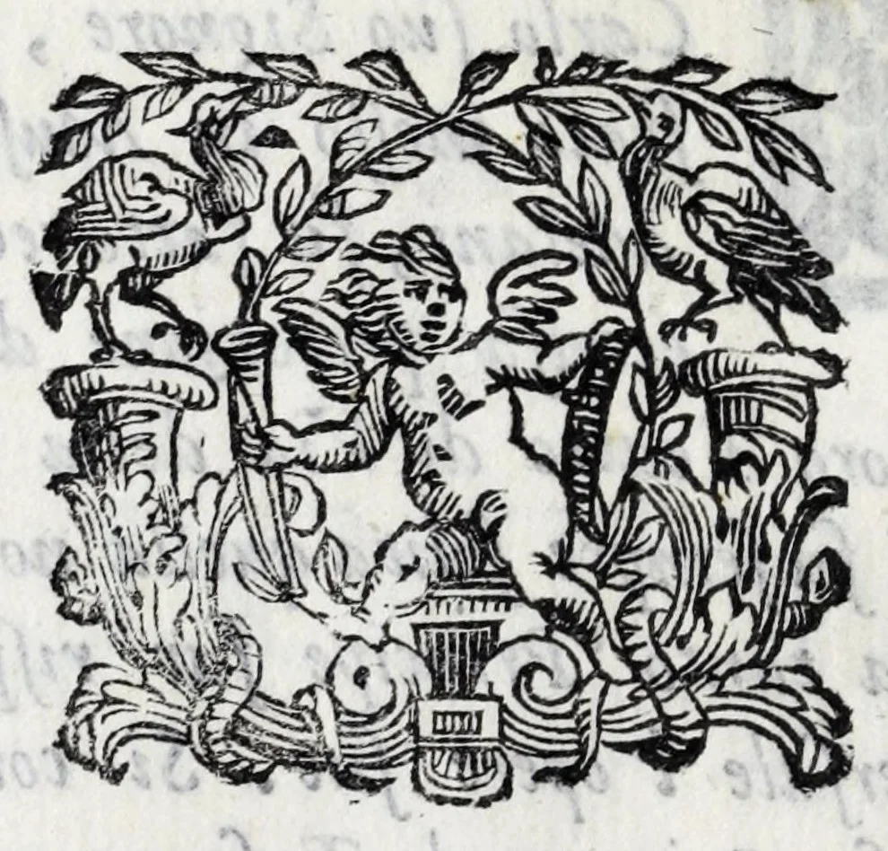 An illustration from Delle poesie dramatiche di Giovann' Andrea Moniglia, accademico della Crusca, parte prima[-terza], 1689, leaf 114