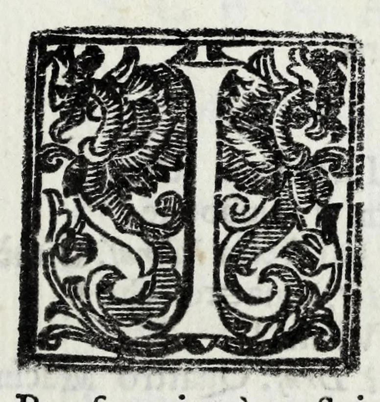 An illustration from Delle poesie dramatiche di Giovann' Andrea Moniglia, accademico della Crusca, parte prima[-terza], 1689, leaf 199