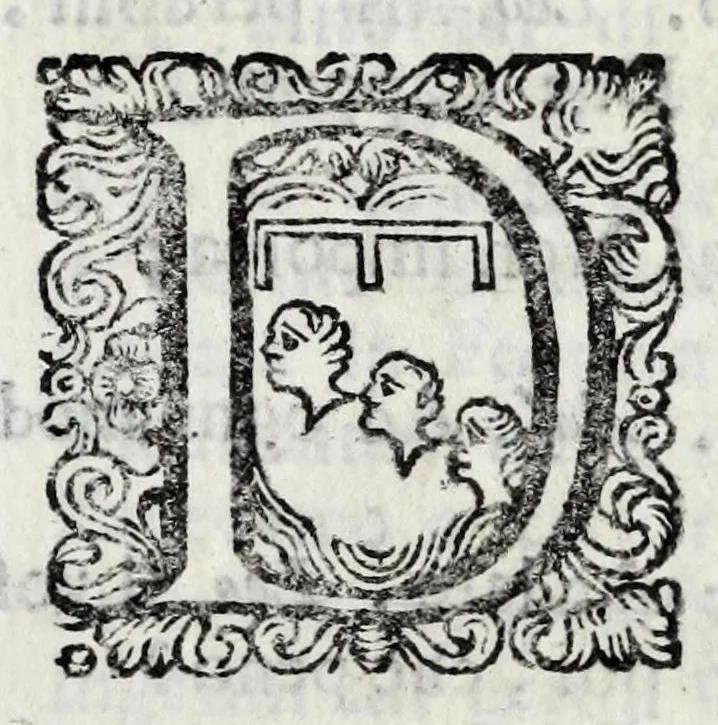 An illustration from Delle poesie dramatiche di Giovann' Andrea Moniglia, accademico della Crusca, parte prima[-terza], 1689, leaf 225