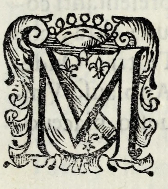 An illustration from Delle poesie dramatiche di Giovann' Andrea Moniglia, accademico della Crusca, parte prima[-terza], 1689, leaf 307