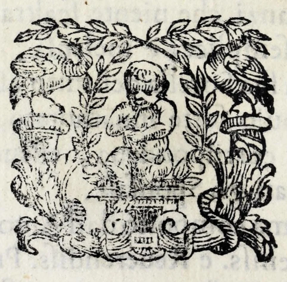 An illustration from Delle poesie dramatiche di Giovann' Andrea Moniglia, accademico della Crusca, parte prima[-terza], 1689, leaf 308
