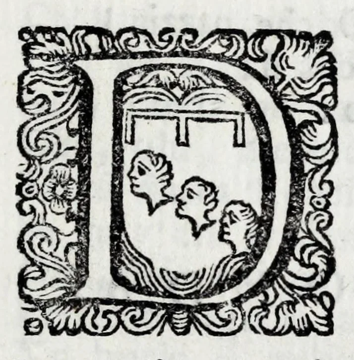 An illustration from Delle poesie dramatiche di Giovann' Andrea Moniglia, accademico della Crusca, parte prima[-terza], 1689, leaf 41