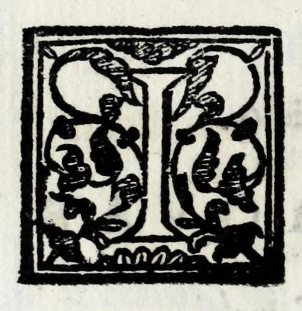 An illustration from Delle poesie dramatiche di Giovann' Andrea Moniglia, accademico della Crusca, parte prima[-terza], 1689, leaf 464